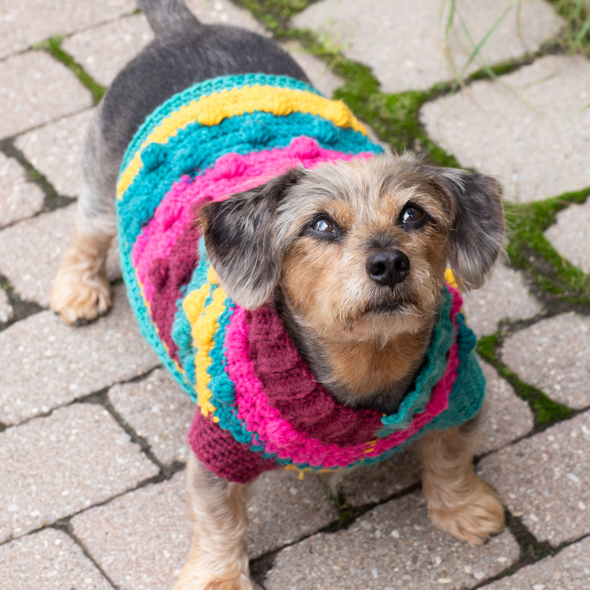 Crochet Sweater made in Red Heart Super Saver Yarn