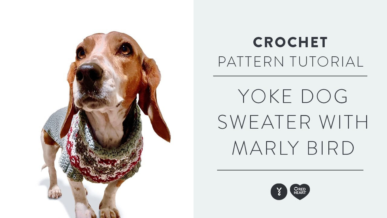 Red Heart Crochet Family Dog Sweater