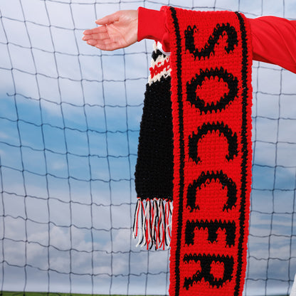 Red Heart Team Pride Crochet Scarf Red Heart Team Pride Crochet Scarf