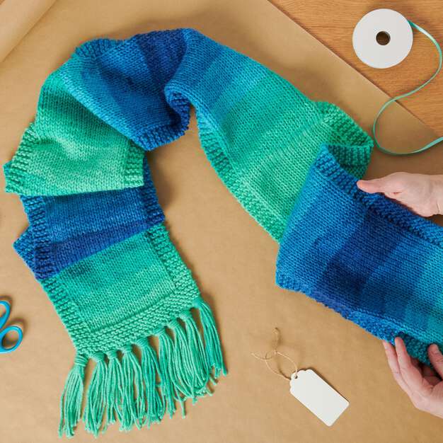 Knit Scarf made in Red Heart Super Saver Yarn