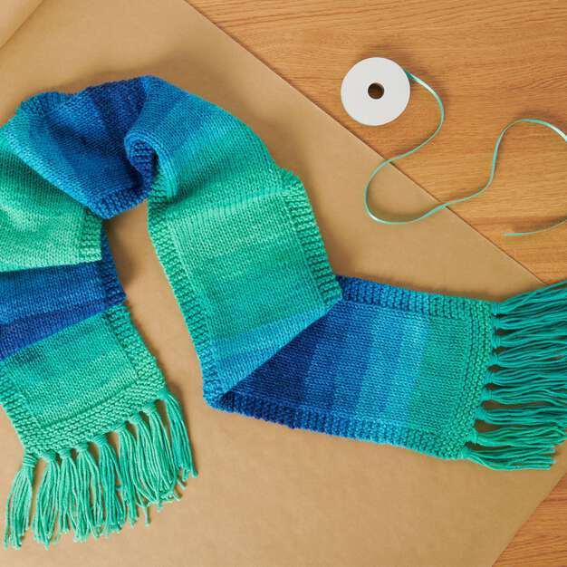 Knit Scarf made in Red Heart Super Saver Yarn