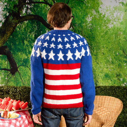 Red Heart Years of History Knit United Pullover Red Heart Years of History Knit United Pullover