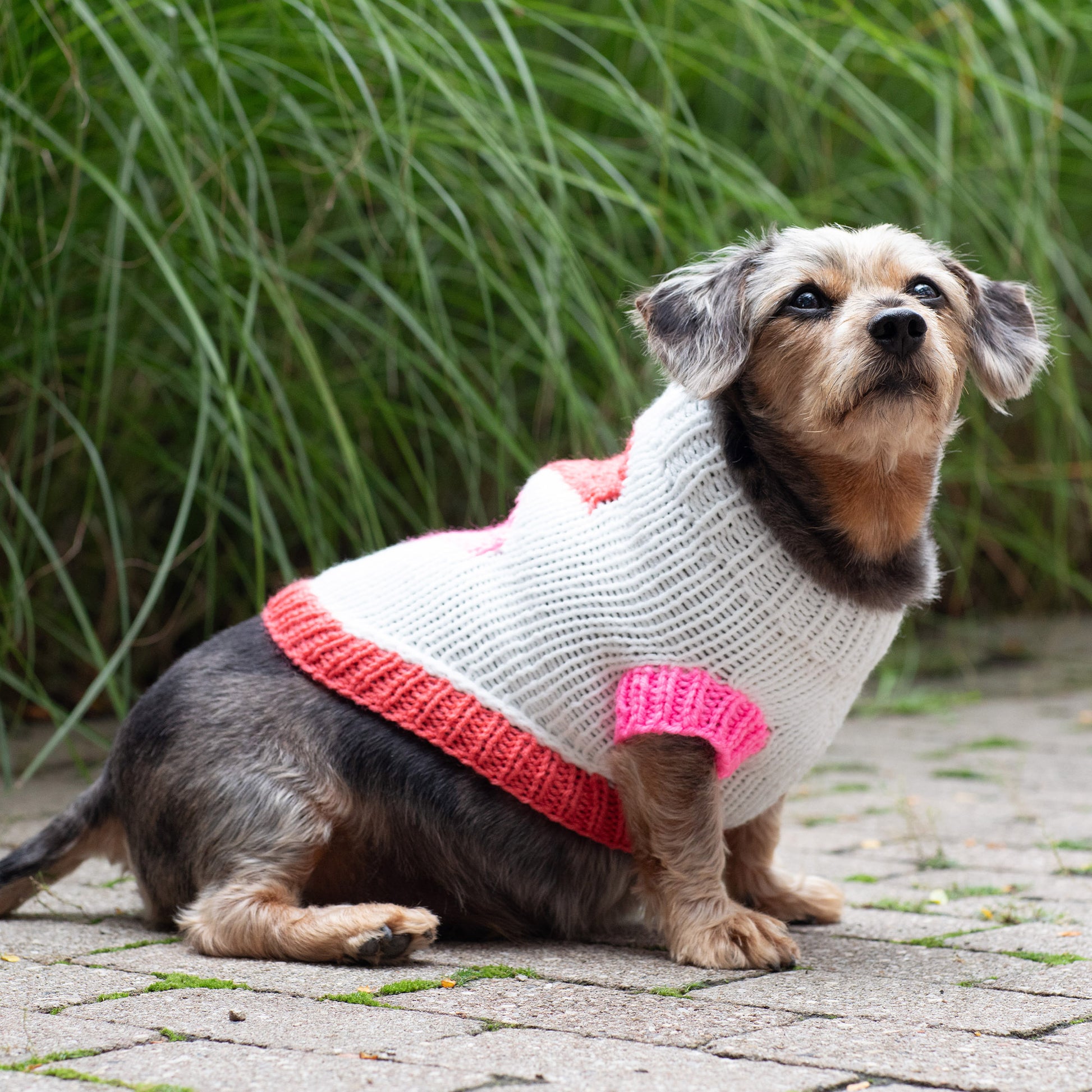 Free Red Heart Puppy Love Knit Sweater Pattern