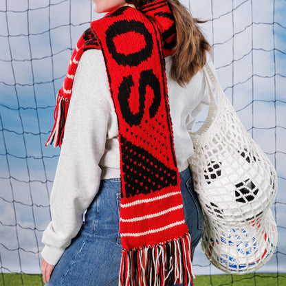 Red Heart Team Pride Knit Scarf Red Heart Team Pride Knit Scarf