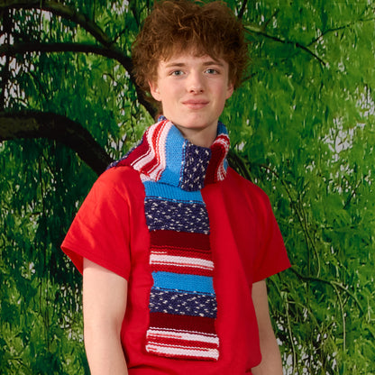 Red Heart Americana Knit Scarf Red Heart Americana Knit Scarf