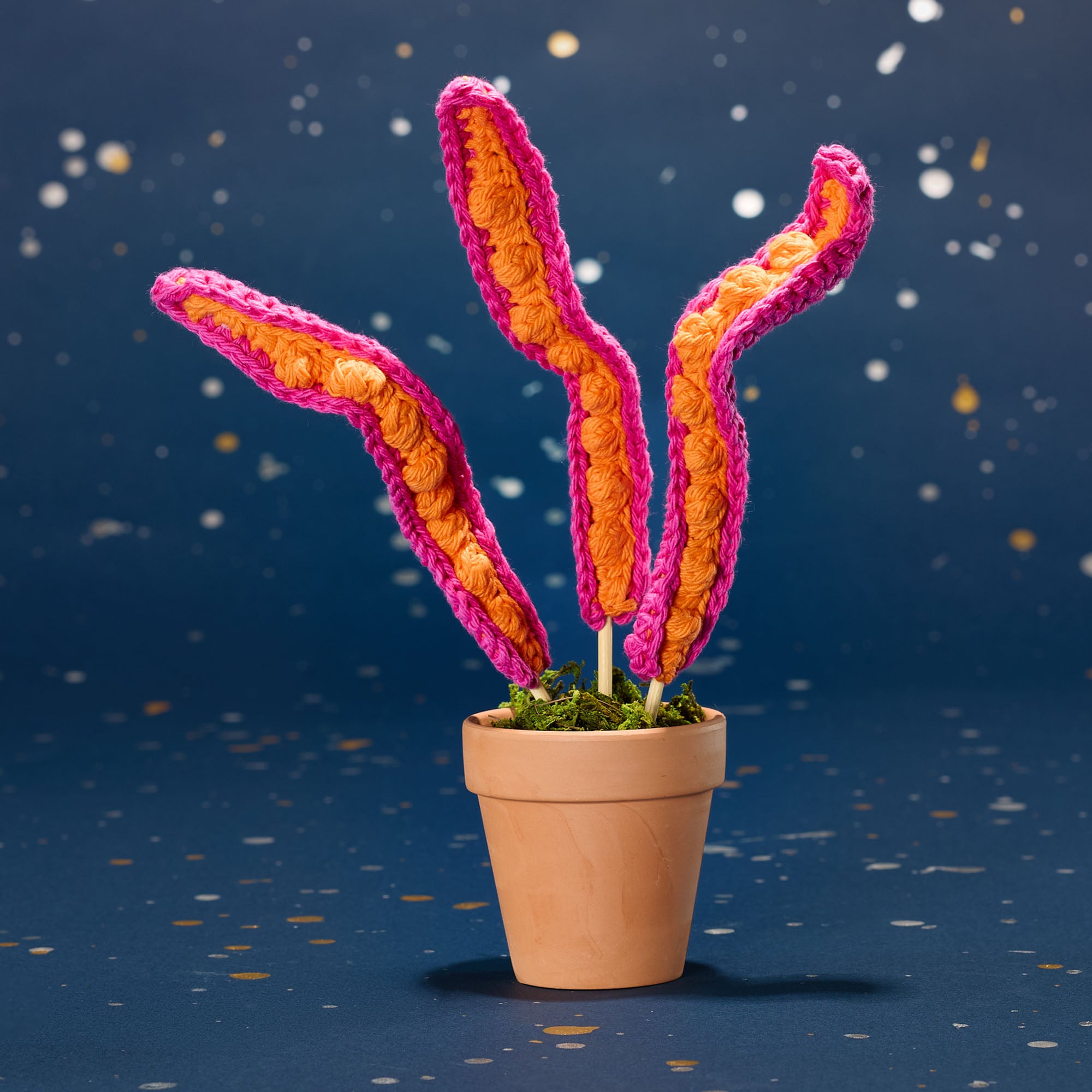 Desktop banner image