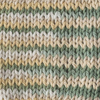 Lily Sugar'n Cream Ombres Yarn - Discontinued Shades Country Sage Ombre