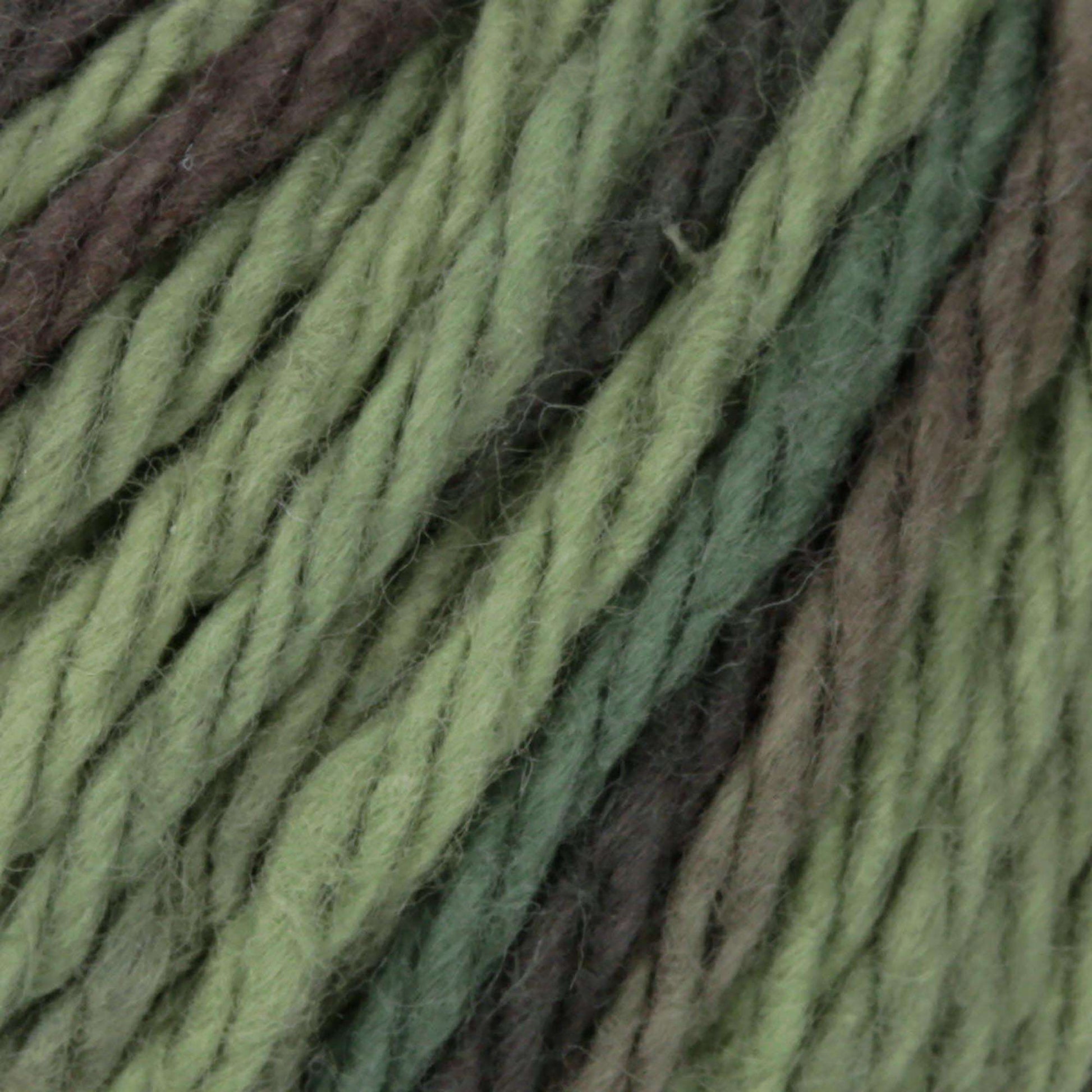 Lily Sugar'n Cream Super Size Ombres Yarn Renegade