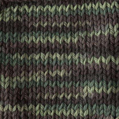 Lily Sugar'n Cream Super Size Ombre Yarn Renegade