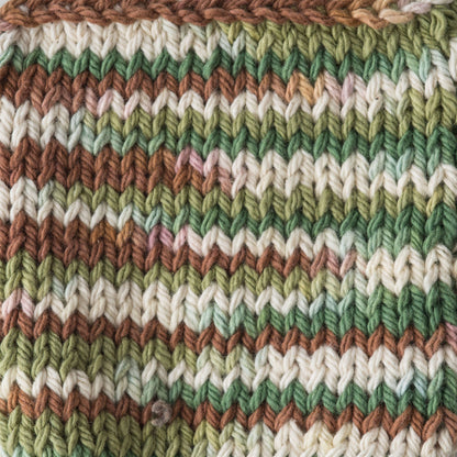 Lily Sugar'n Cream Big Ball Ombres Yarn (340g/12oz) - Discontinued Landscape Ombre