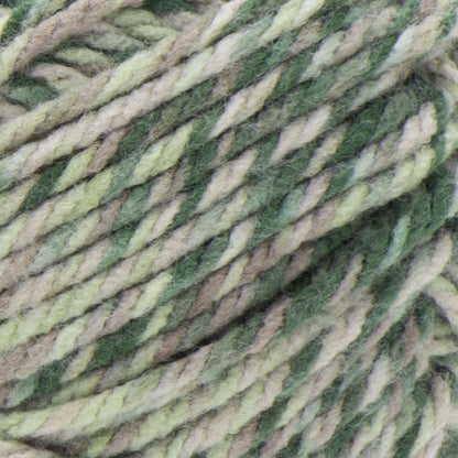 Bernat Softee Chunky Twist Yarn (300g/10.5oz) - Discontinued Shades Camo