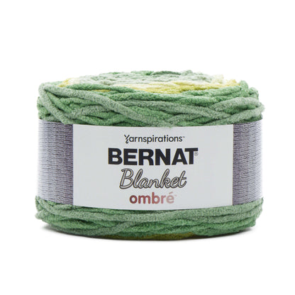 Bernat Blanket Ombre Yarn (300g/10.5oz) - Discontinued Shades Spring Green Ombre