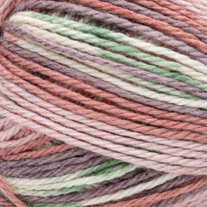 Bernat Softee Baby Jacquards Yarn Faded Blooms
