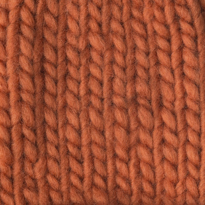 Bernat Roving Yarn - Discontinued Shades Pumpkin