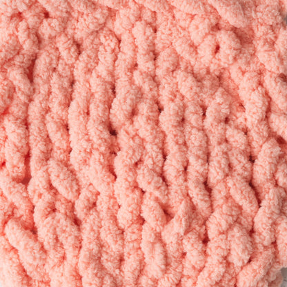 Bernat Baby Blanket Yarn - Discontinued Shades Baby Peach