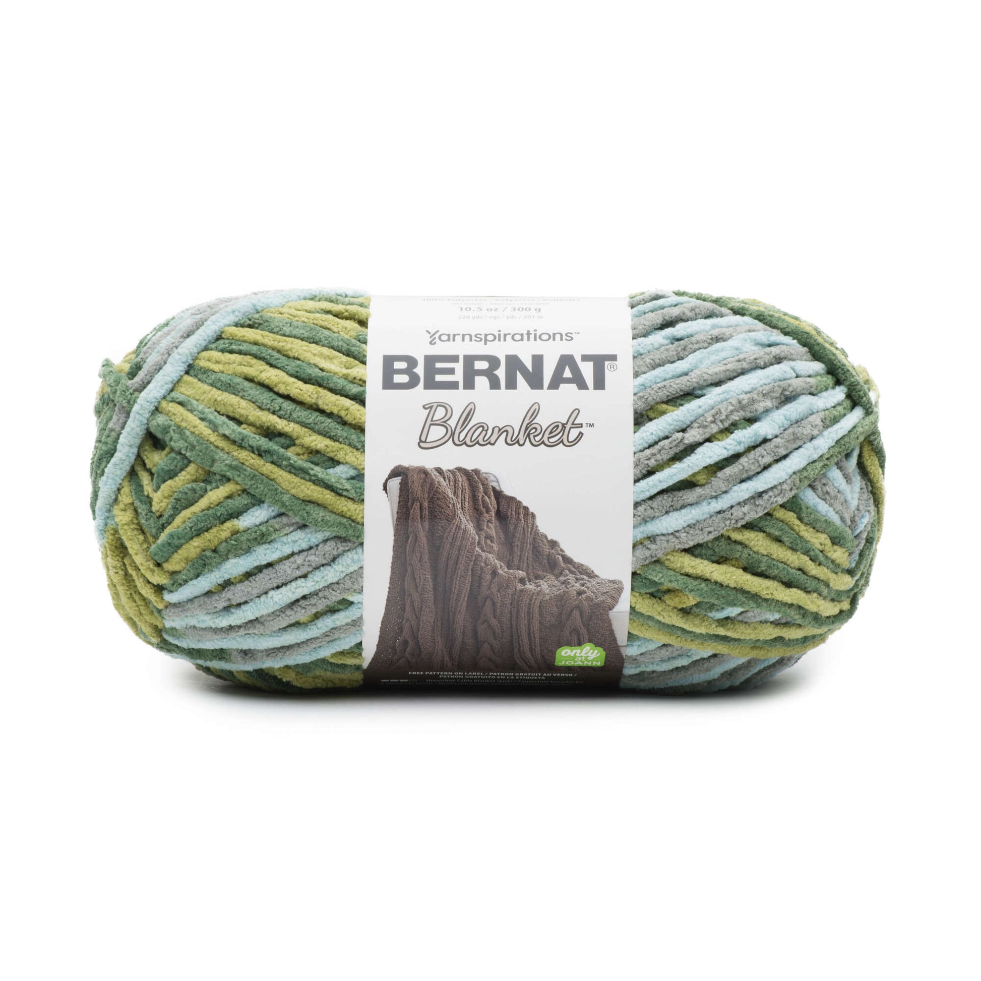 Bernat Blanket Yarn (300g/10.5oz) Forest Sage