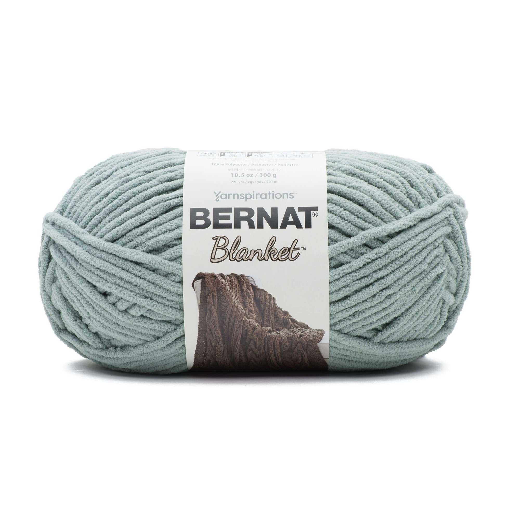 Bernat Blanket Yarn (300g/10.5oz) Misty Green