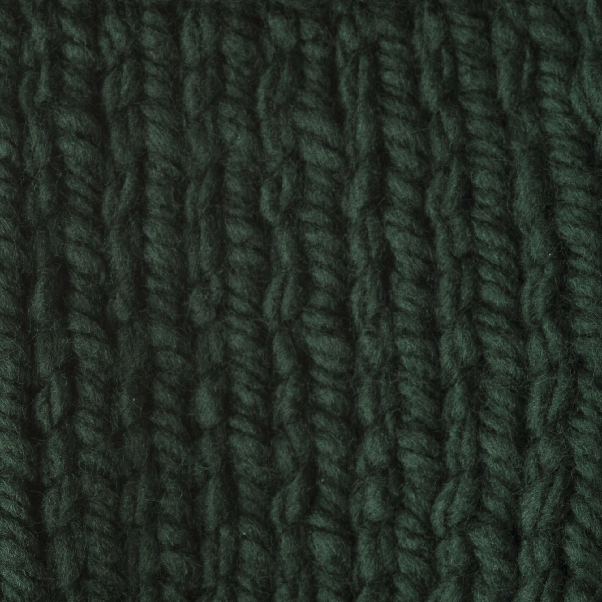 Bernat Softee Chunky Yarn (100g/3.5oz) Dark Green