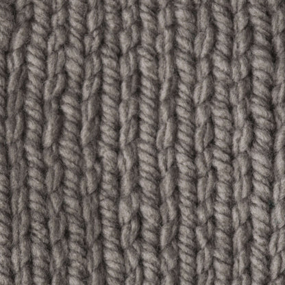 Bernat Softee Chunky Yarn (400g/14oz) - Discontinued Shades Taupe Gray