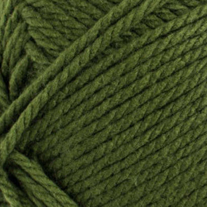 Bernat Softee Chunky Yarn (400g/14oz) - Discontinued Shades Eucalyptus