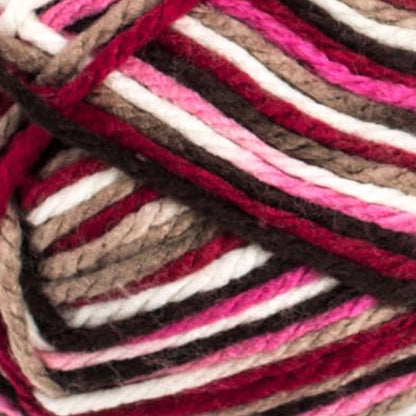 Bernat Softee Chunky Ombres Yarn (300g/10.5oz) - Discontinued Shades Chocolate Cherry