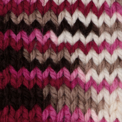 Bernat Softee Chunky Ombres Yarn (300g/10.5oz) - Discontinued Shades Chocolate Cherry