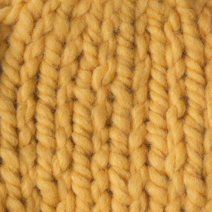 Bernat Wool-up Bulky Yarn - Discontinued Shades Warm Sun