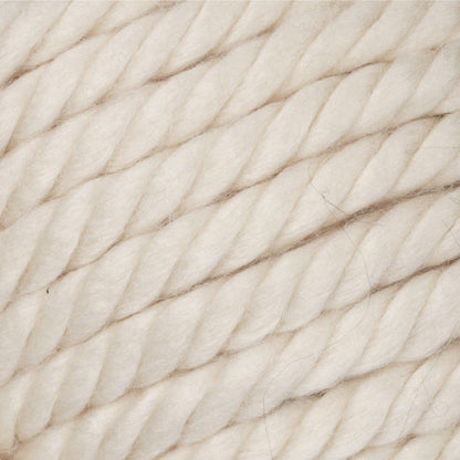 Bernat Mega Bulky Yarn (300g/10.5oz) - Discontinued Shades Aran