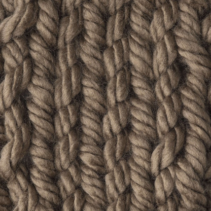 Bernat Mega Bulky Yarn (300g/10.5oz) - Discontinued Shades Toasty Gray