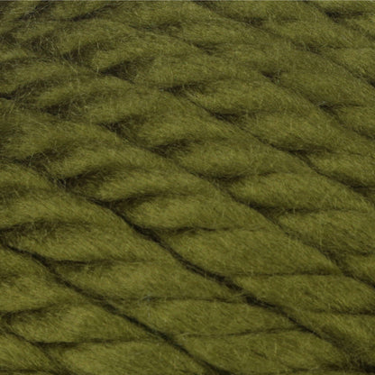 Bernat Mega Bulky Yarn (300g/10.5oz) - Discontinued Shades Eucalyptus