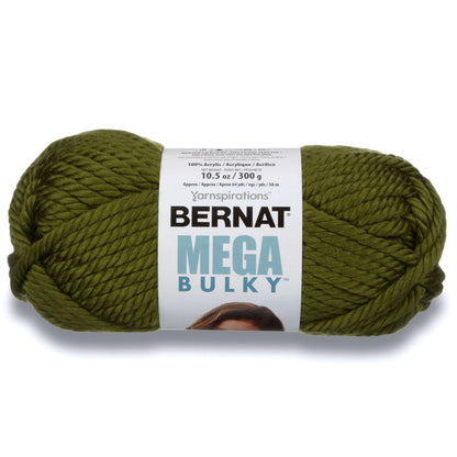 Bernat Mega Bulky Yarn (300g/10.5oz) - Discontinued Shades Eucalyptus