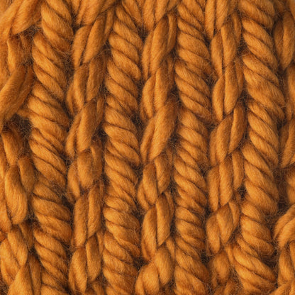 Bernat Mega Bulky Yarn (300g/10.5oz) - Discontinued Shades Pumpkin