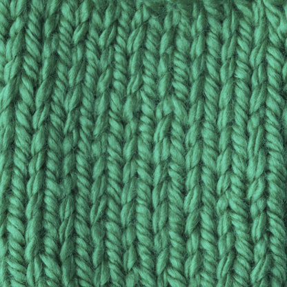 Bernat Softee Baby Chunky Yarn - Discontinued Shades Dragon Green