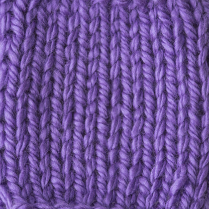 Bernat Softee Baby Chunky Yarn - Discontinued Shades Grape