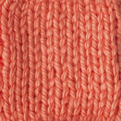 Bernat Softee Baby Chunky Yarn - Discontinued Shades Creamsicle