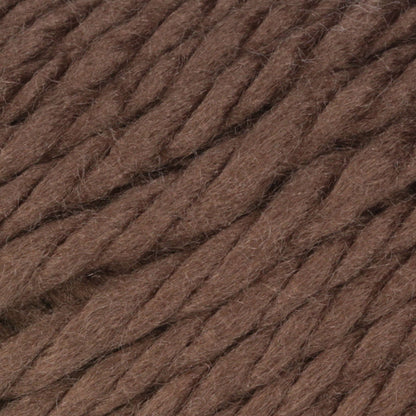 Bernat Softee Baby Chunky Yarn - Discontinued Shades Teddy Brown