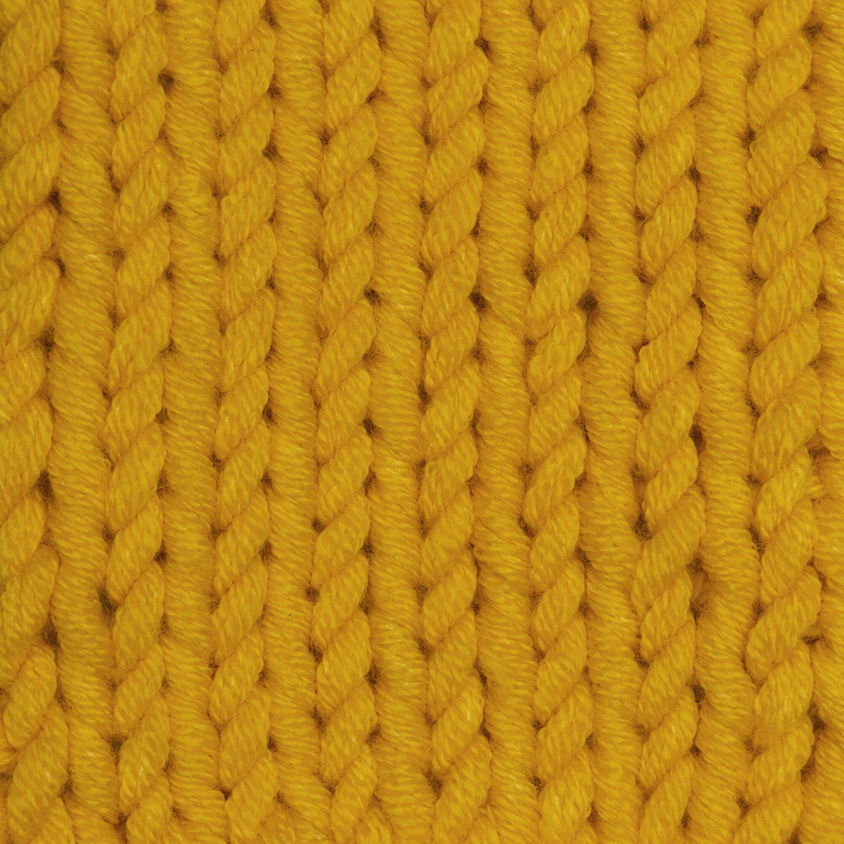 Sunflower Yellow