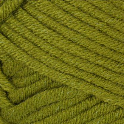 Bernat Beyond Yarn - Discontinued Shades Leaf Green