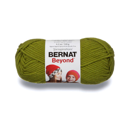Bernat Beyond Yarn - Discontinued Shades Leaf Green