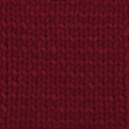 Bernat Maker Big Yarn - Discontinued Scarlet