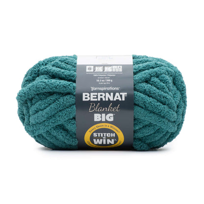 Bernat Blanket Big Yarn (300g/10.5oz) - Discontinued Shades Green Teal