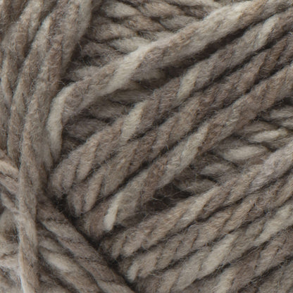 Bernat Softee Chunky Twist Yarn - Discontinued Shades Taupe Twist