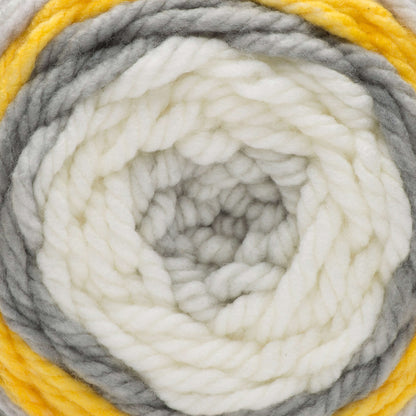 Bernat Pop! Bulky Yarn - Discontinued Shades Zesty Gray