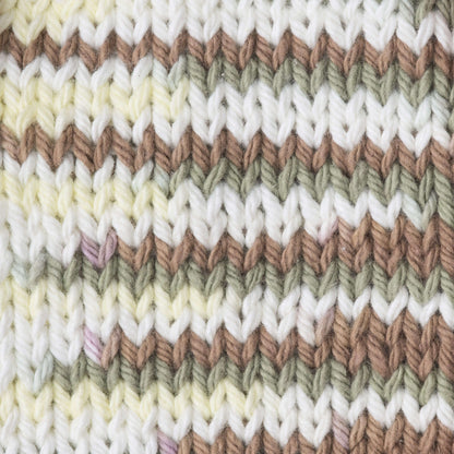 Bernat Handicrafter Cotton Variegates Yarn (340g/12oz) - Discontinued Wooded Moss Ombre