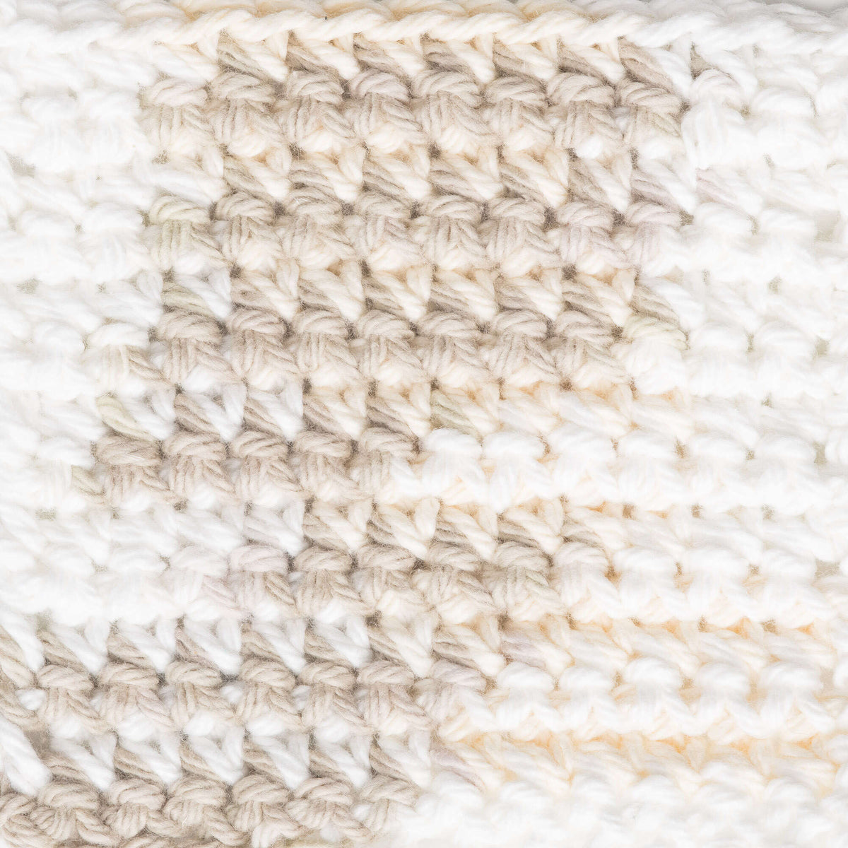 Queen Ann's Lace Ombre