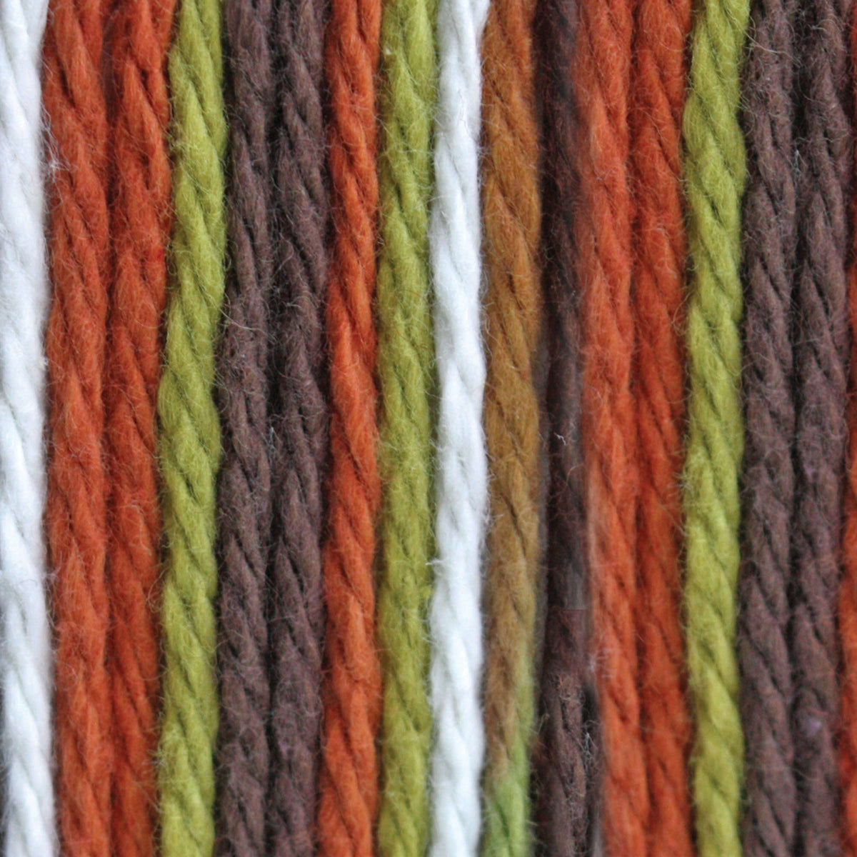 Woodland Trail Ombre