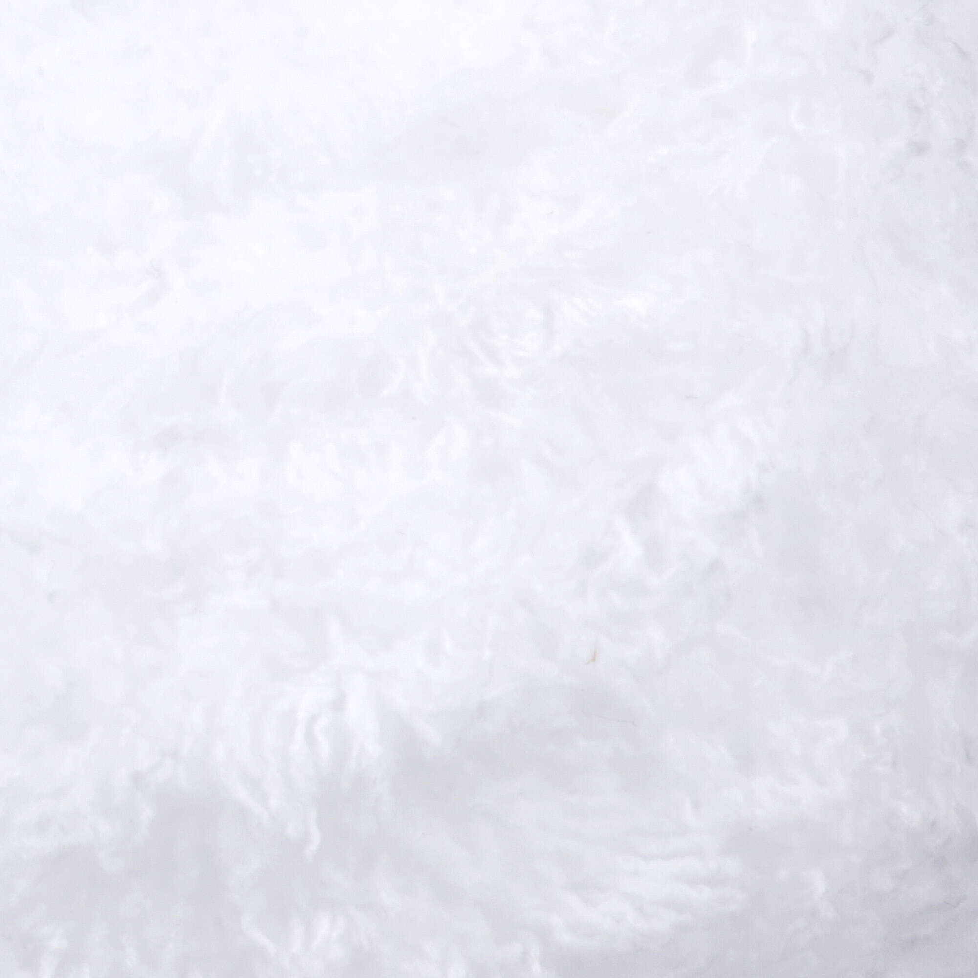 Whitey White