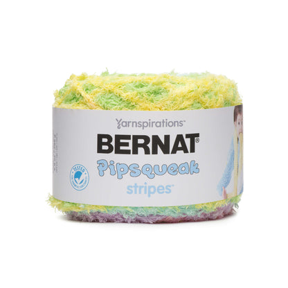 Bernat Pipsqueak Stripes Yarn - Discontinued Shades Birdsong