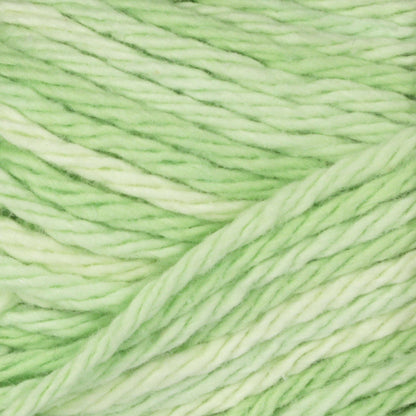 Bernat Handicrafter Cotton Scents Yarn - Discontinued Shades Aloe Vera