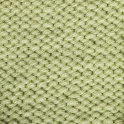 Bernat Super Value Yarn - Discontinued Shades Soft Fern